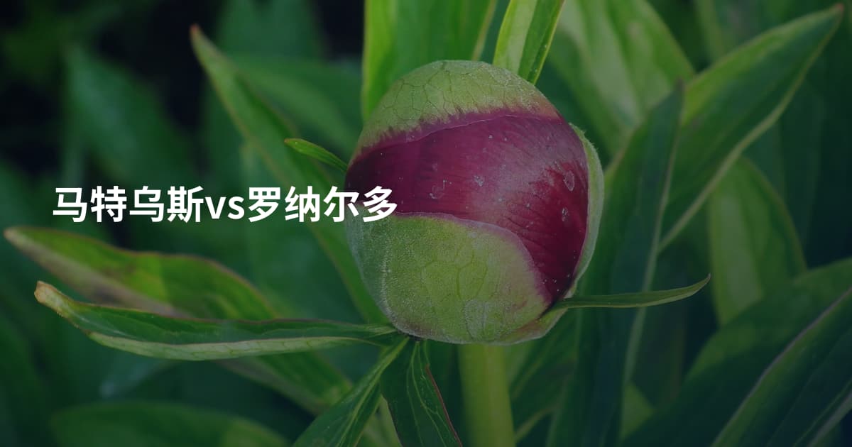 马特乌斯vs罗纳尔多