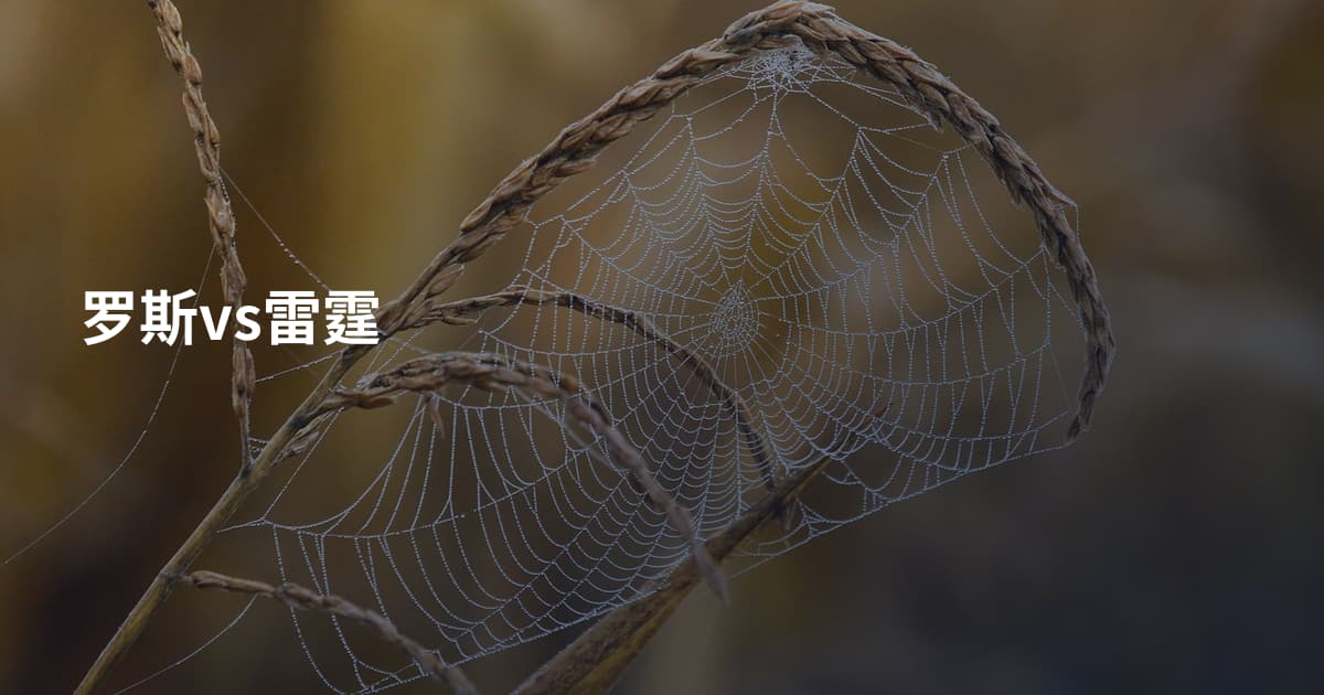 罗斯vs雷霆