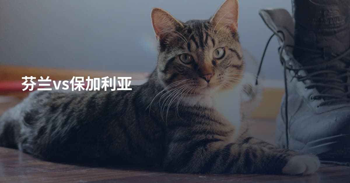 芬兰vs保加利亚