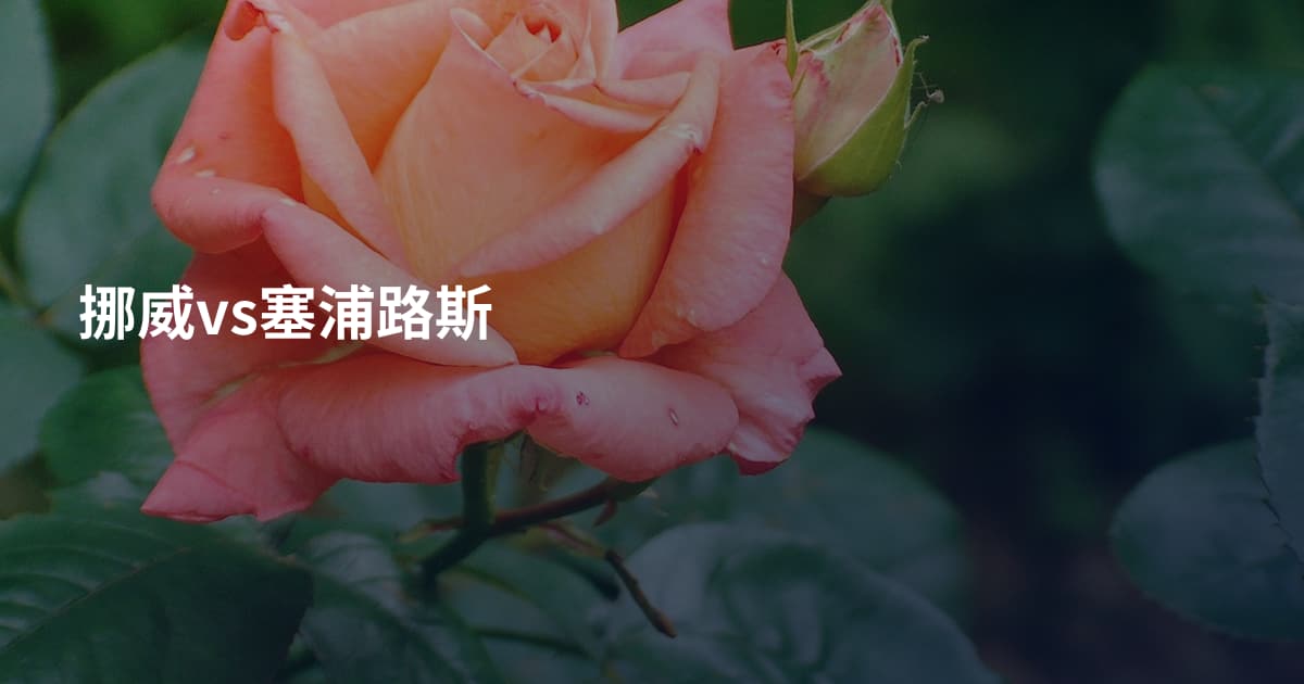 挪威vs塞浦路斯