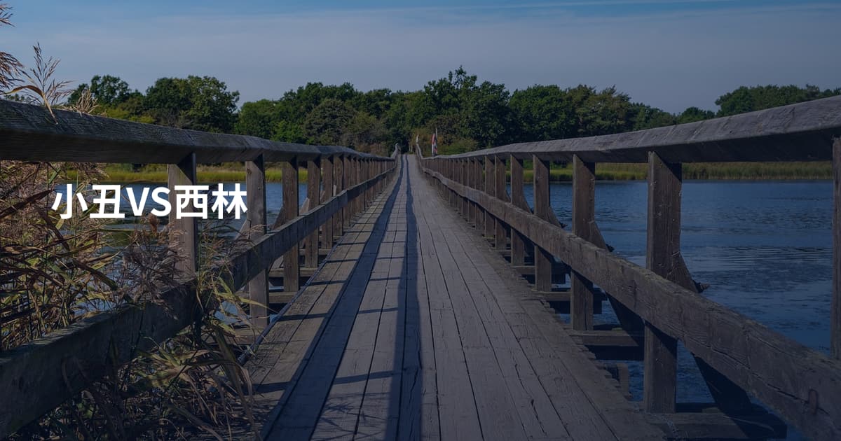 小丑VS西林