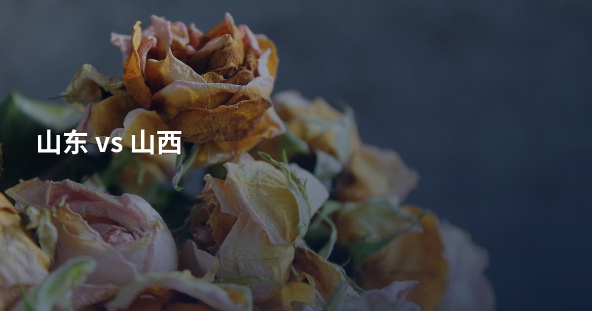 山东 vs 山西