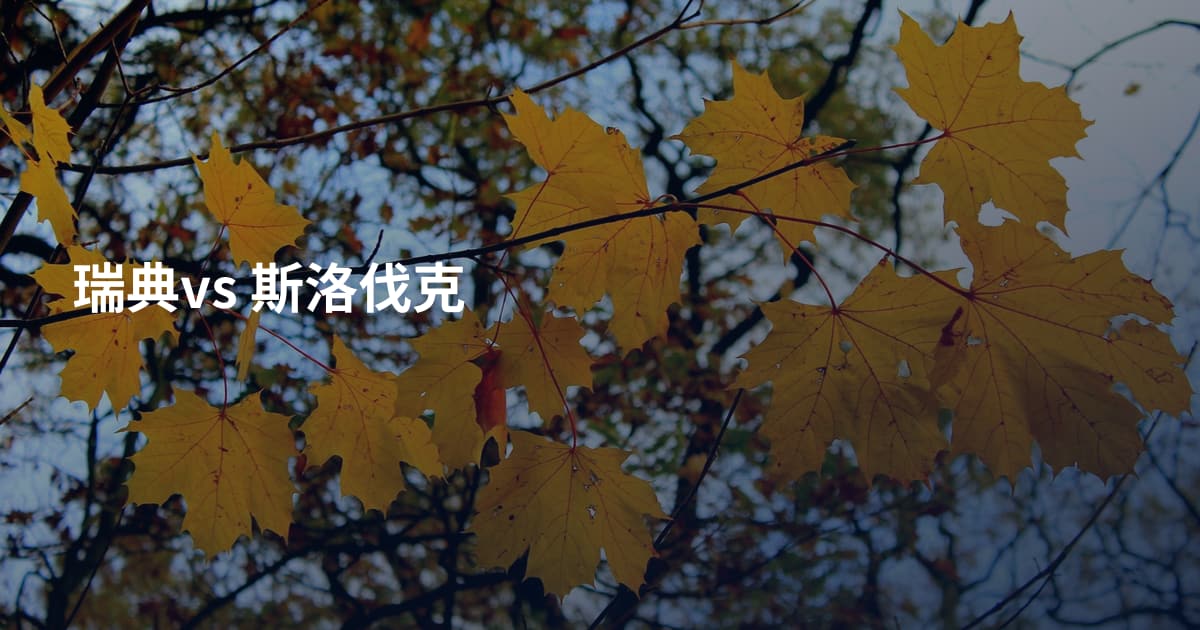 瑞典vs 斯洛伐克