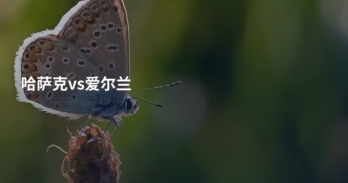 哈萨克vs爱尔兰