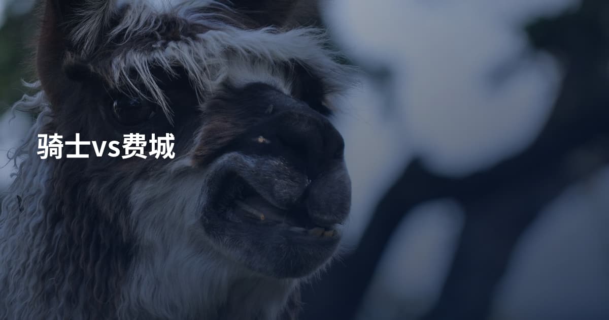 骑士vs费城