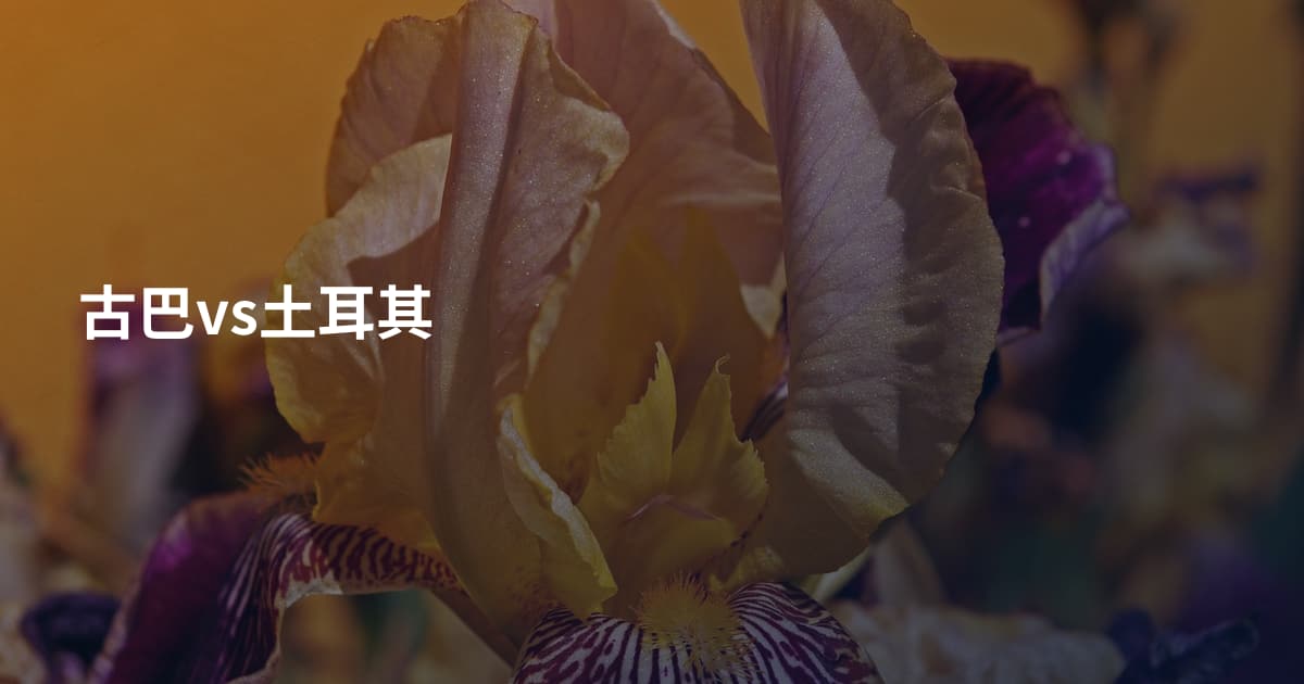 古巴vs土耳其
