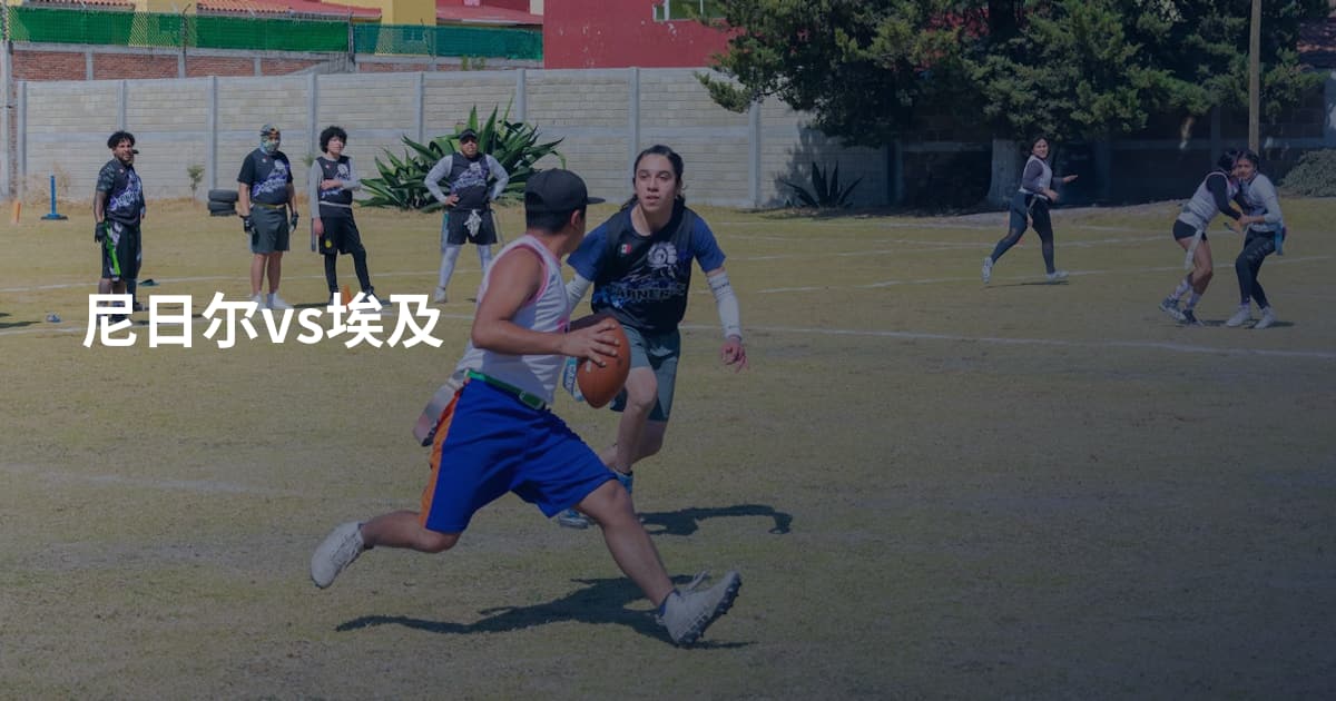 尼日尔vs埃及