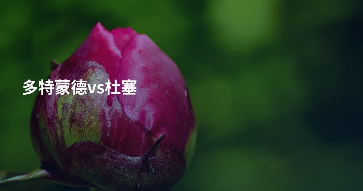 多特蒙德vs杜塞