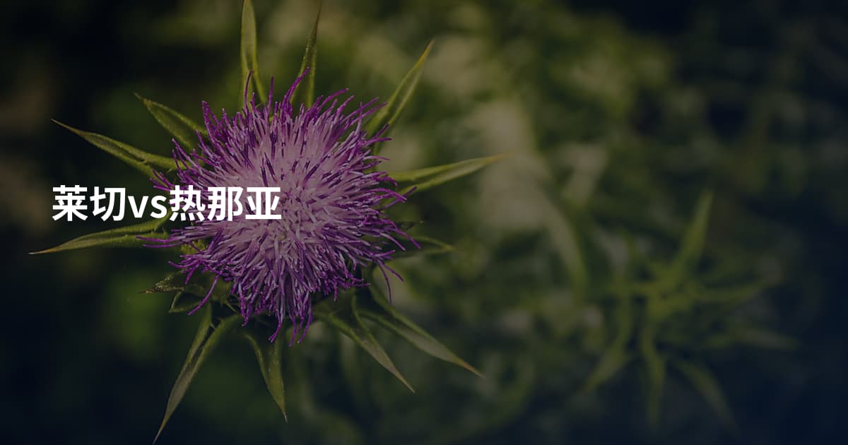 莱切vs热那亚