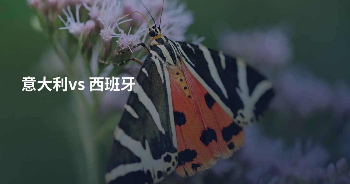 意大利vs 西班牙