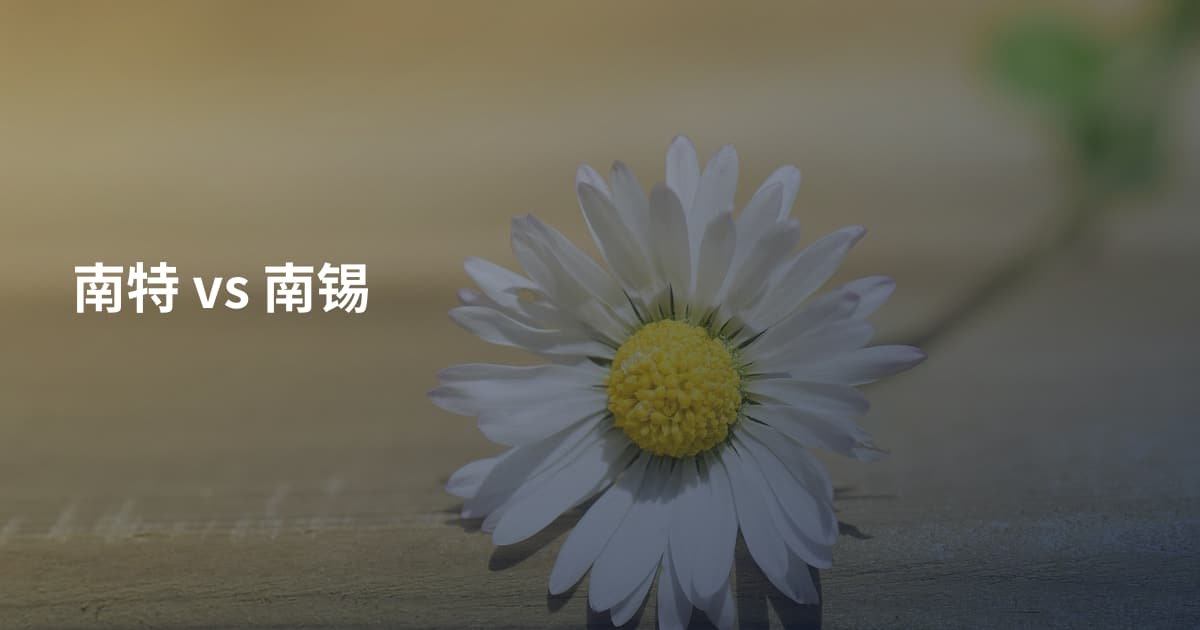 南特 vs 南锡