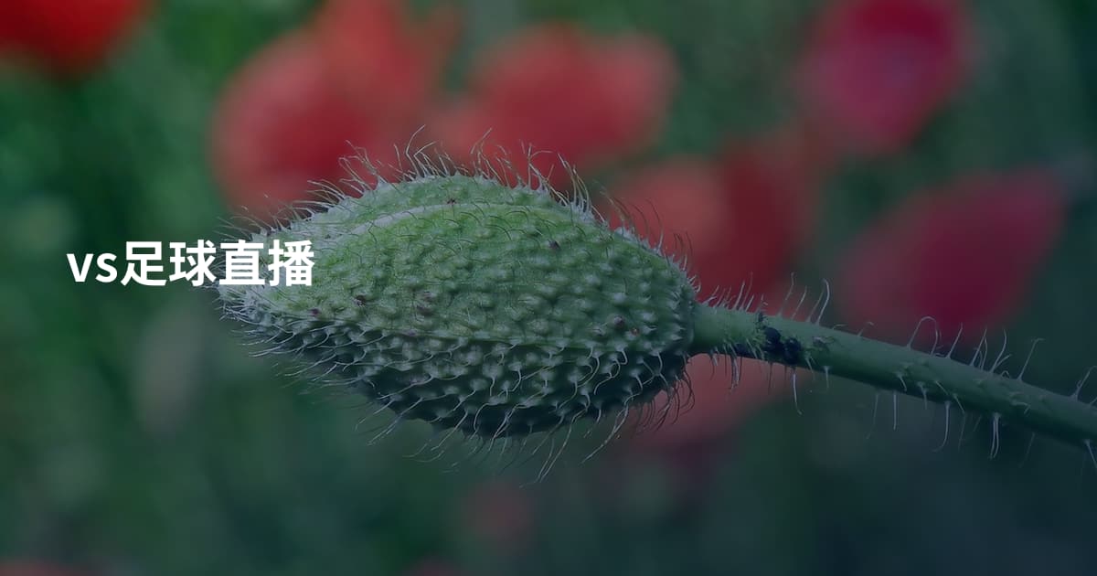 vs足球直播