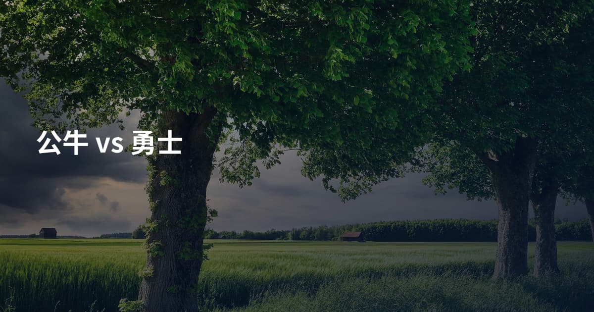 公牛 vs 勇士