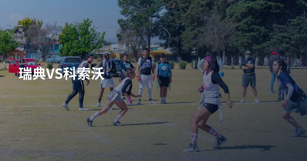 瑞典VS科索沃