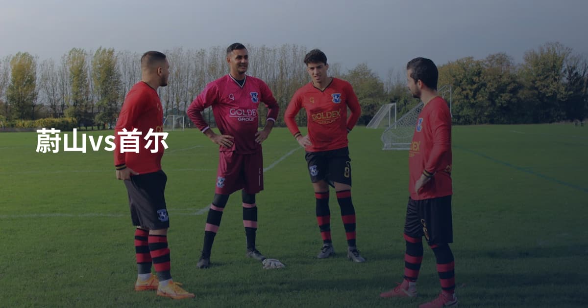 蔚山vs首尔