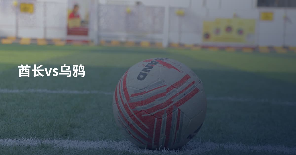 酋长vs乌鸦