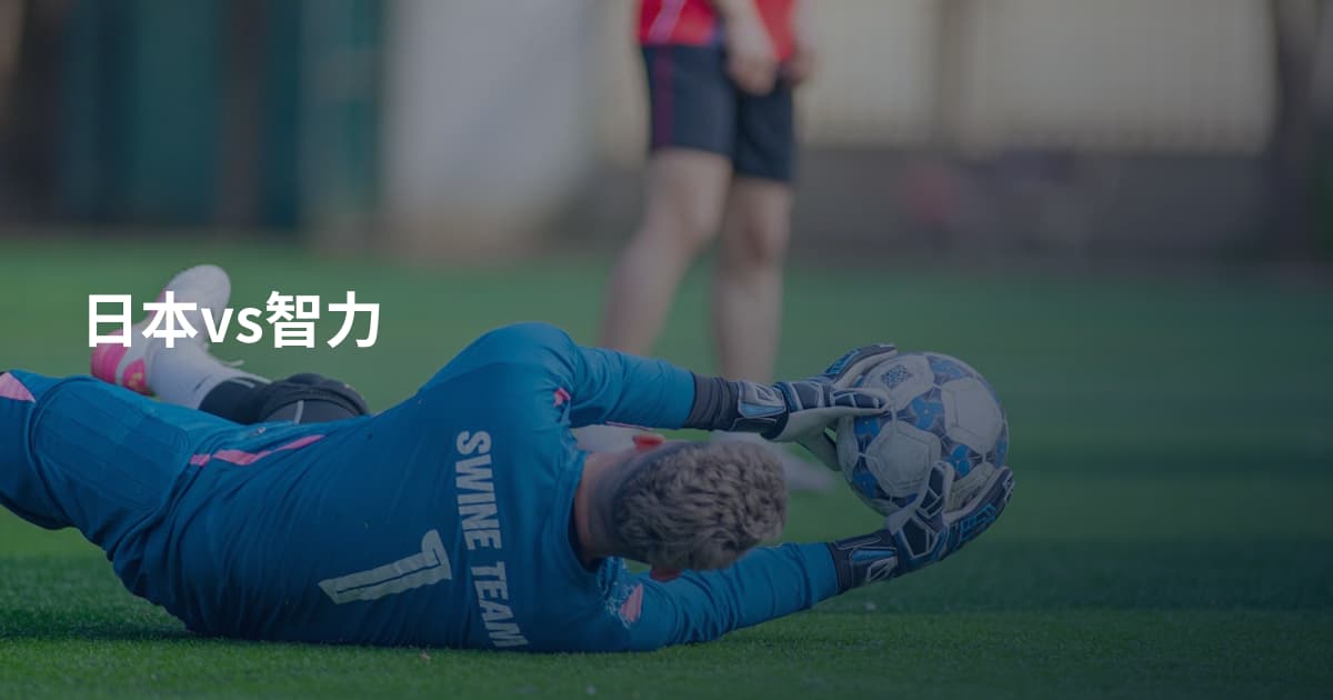 日本vs智力