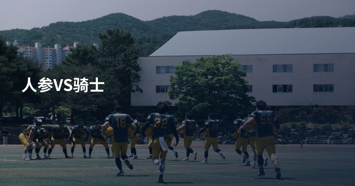 人参VS骑士