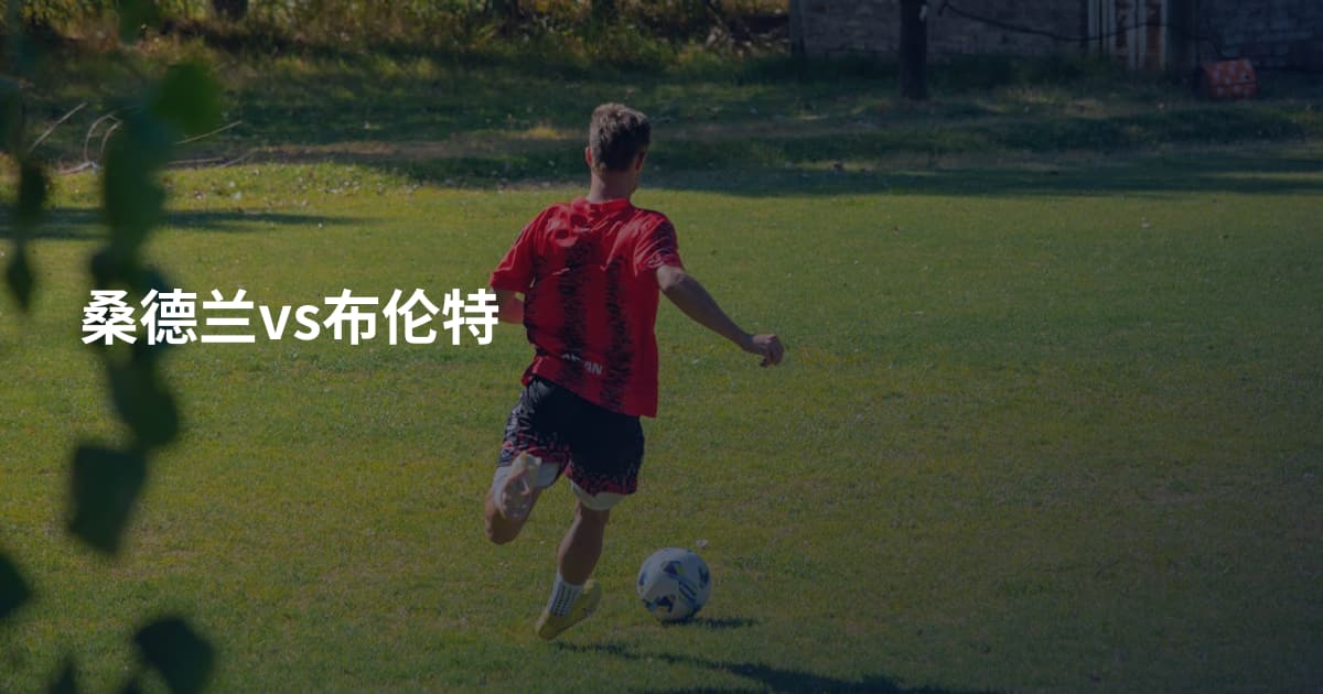 桑德兰vs布伦特