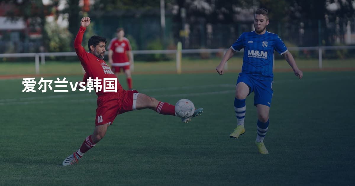 爱尔兰vs韩国