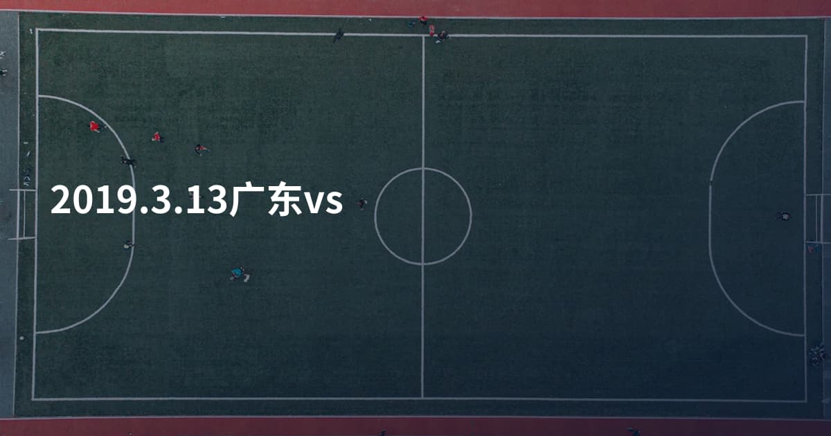 2019.3.13广东vs