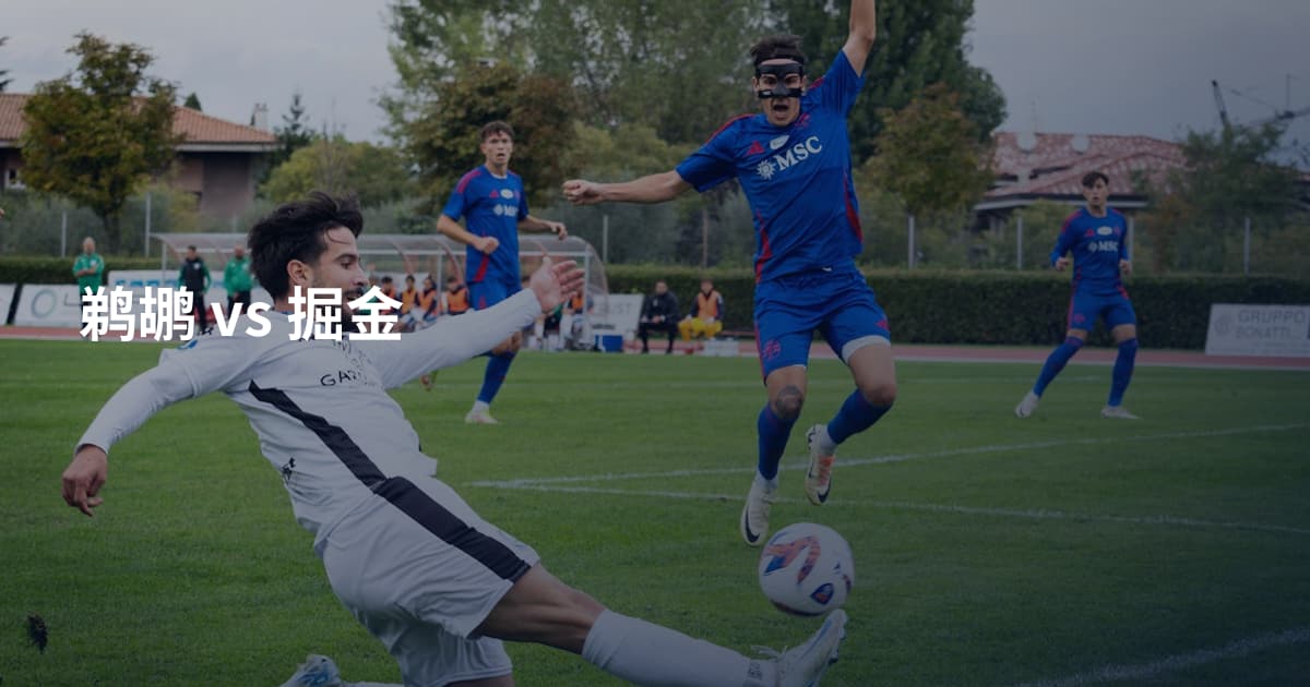 鹈鹕 vs 掘金