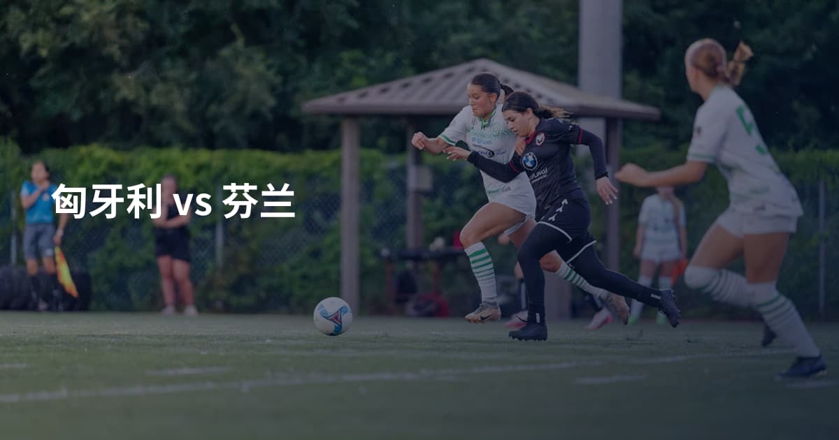 匈牙利 vs 芬兰