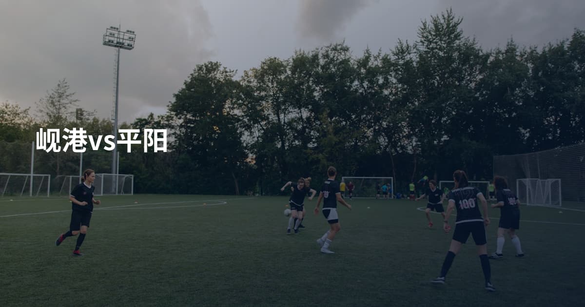 岘港vs平阳