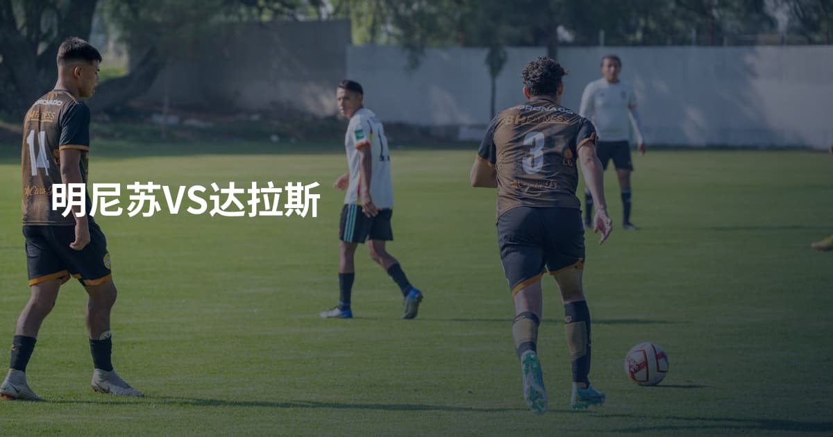 明尼苏VS达拉斯