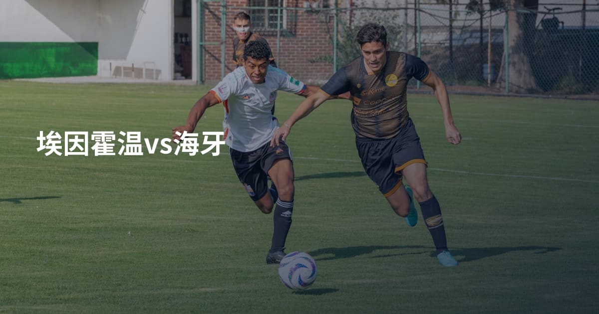 埃因霍温vs海牙