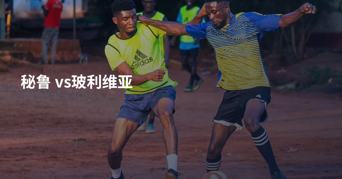 秘鲁 vs玻利维亚
