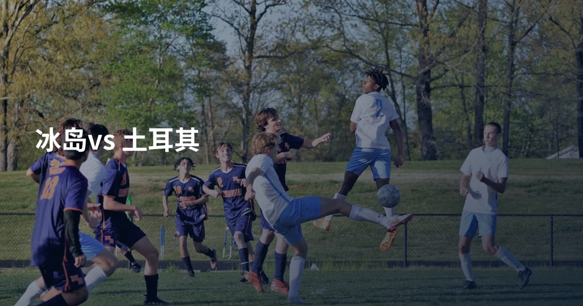 冰岛vs 土耳其