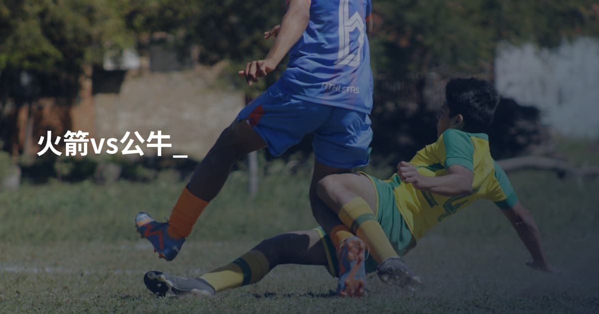 火箭vs公牛_
