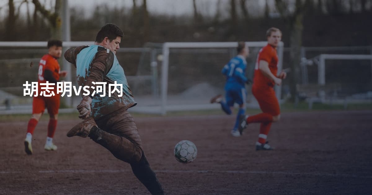 胡志明vs河内