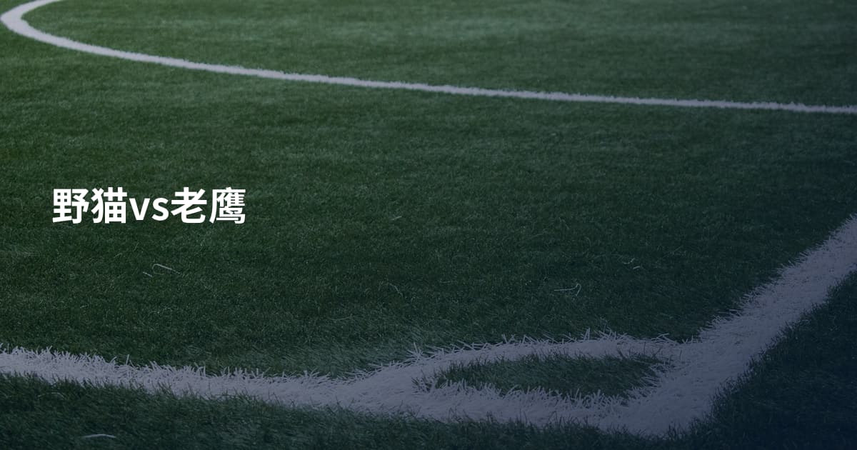 野猫vs老鹰