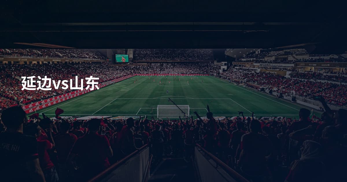 延边vs山东