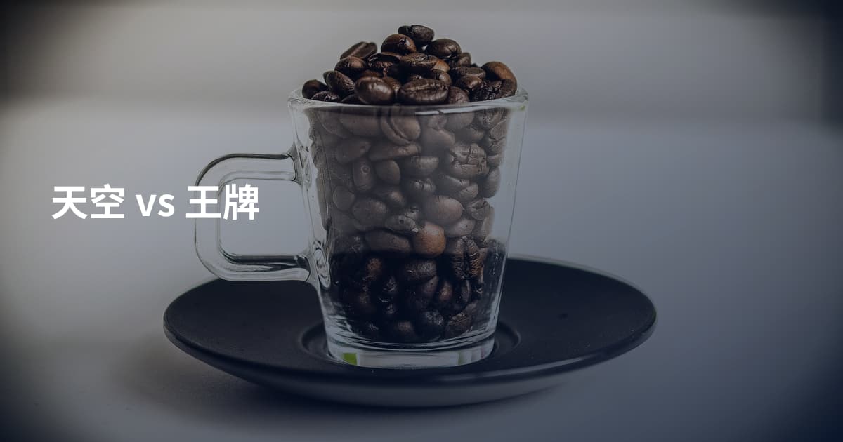 天空 vs 王牌