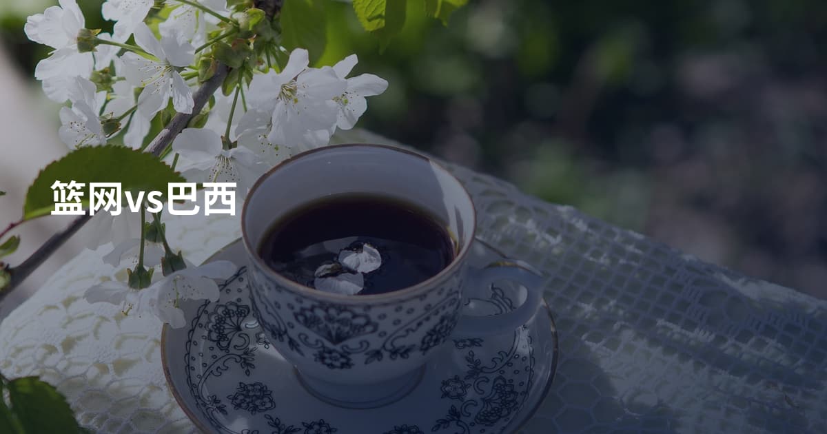 篮网vs巴西