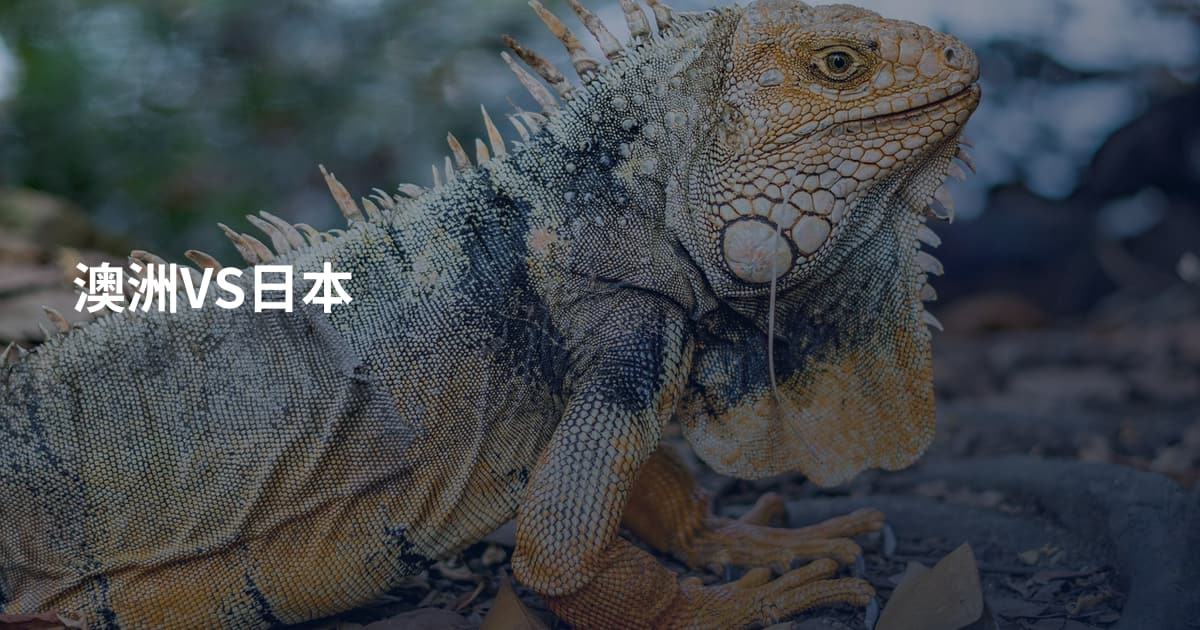 澳洲VS日本