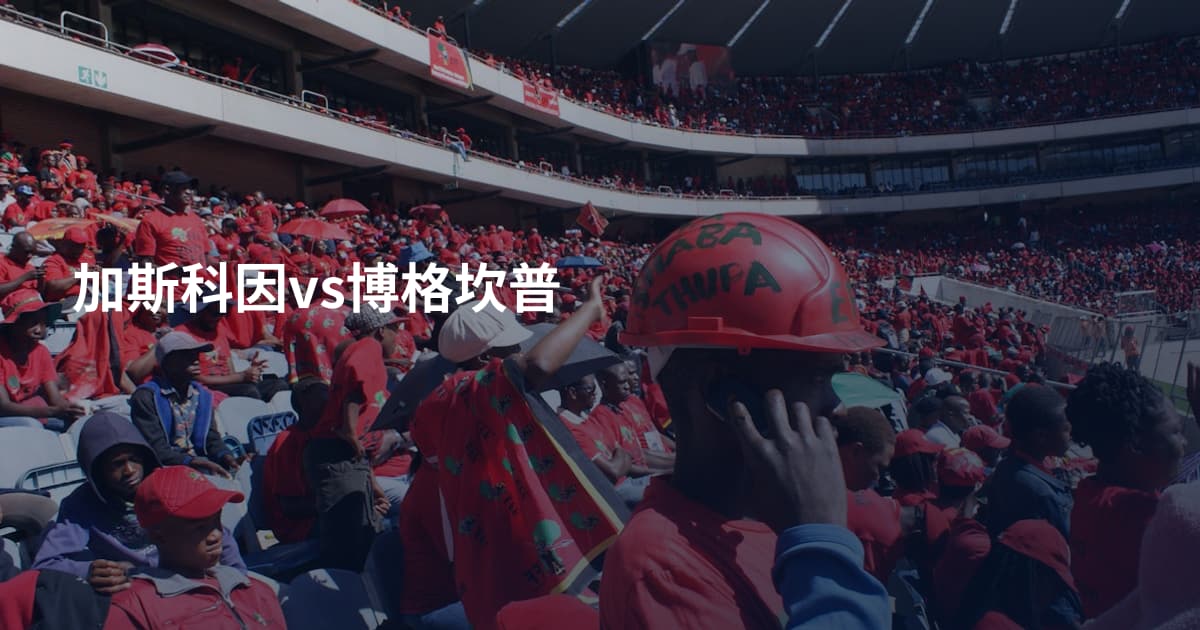 加斯科因vs博格坎普