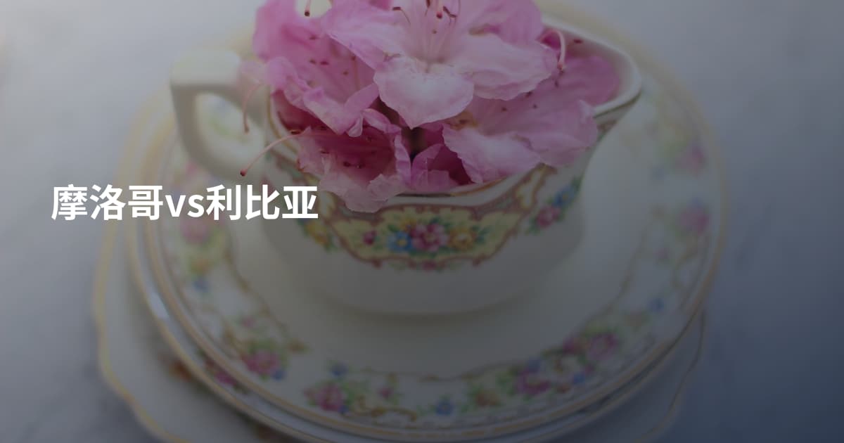 摩洛哥vs利比亚