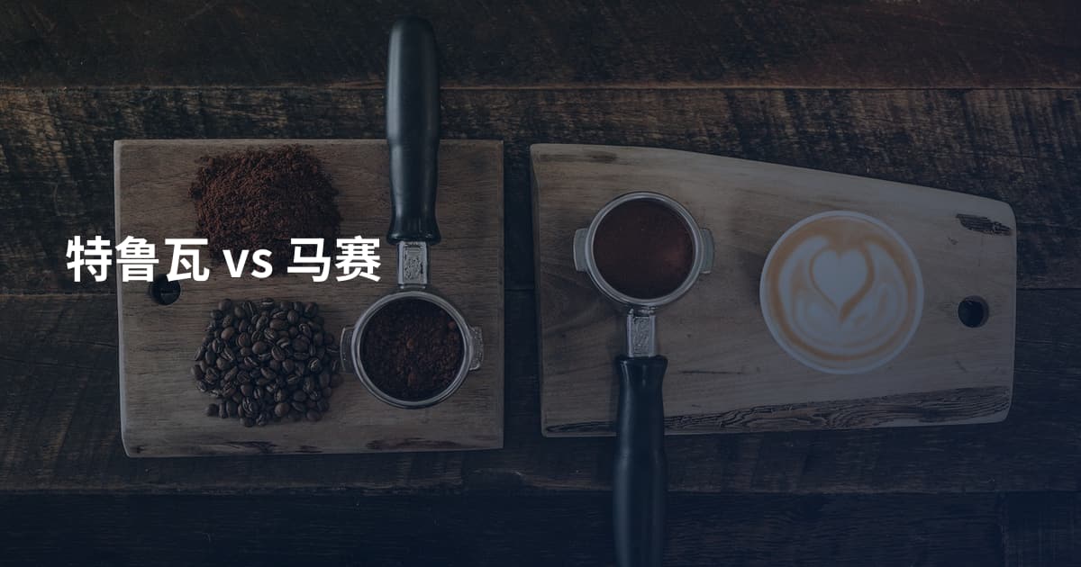 特鲁瓦 vs 马赛