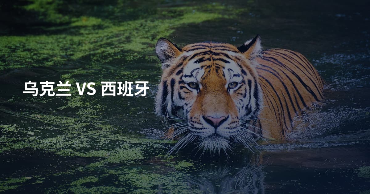 乌克兰 VS 西班牙