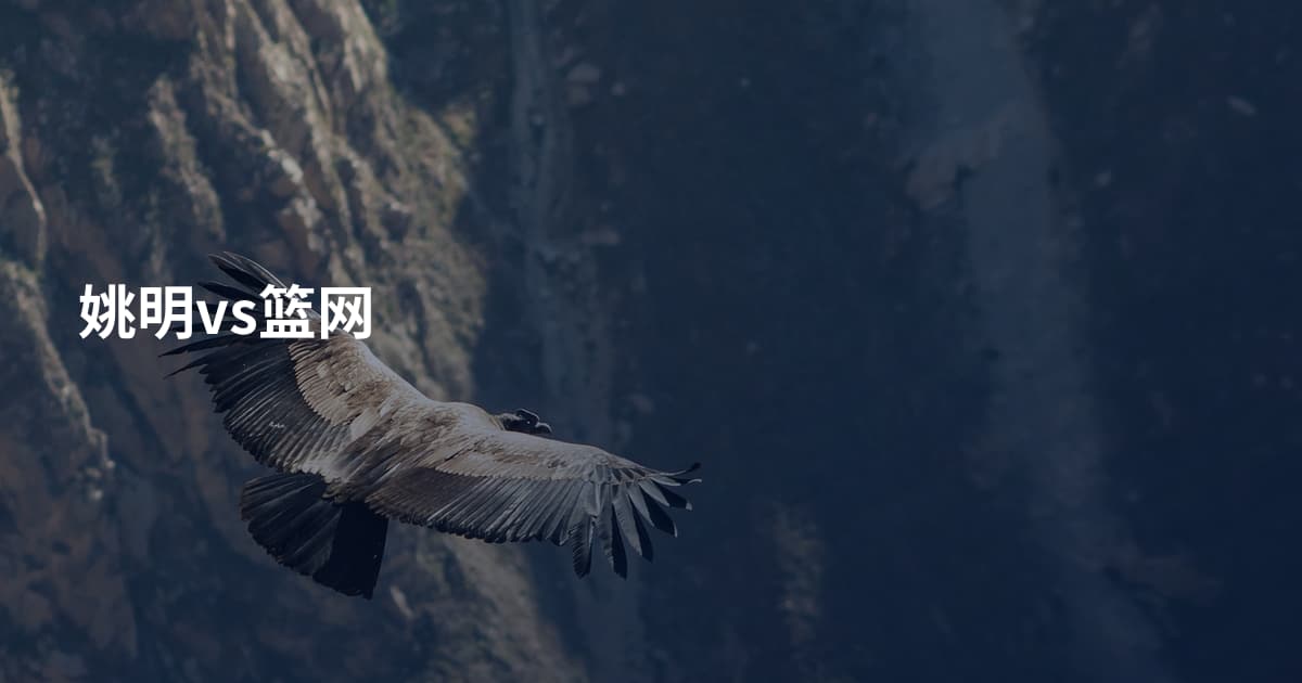 姚明vs篮网