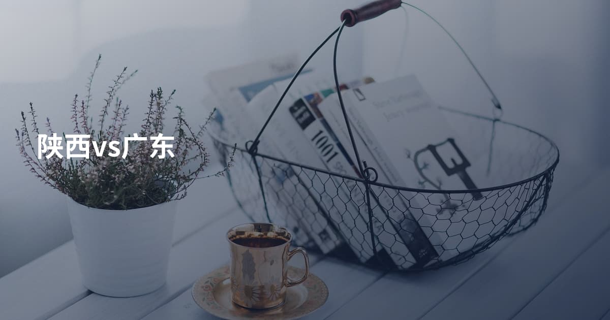 陕西vs广东
