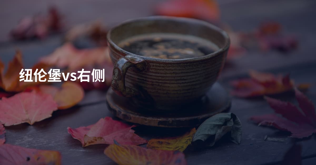 纽伦堡vs右侧