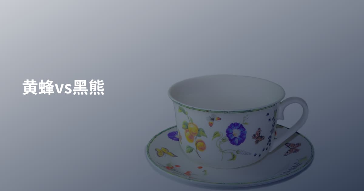 黄蜂vs黑熊