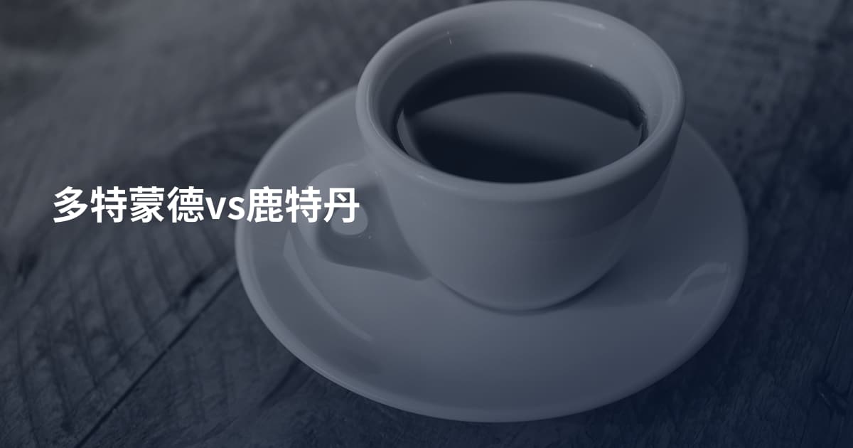 多特蒙德vs鹿特丹
