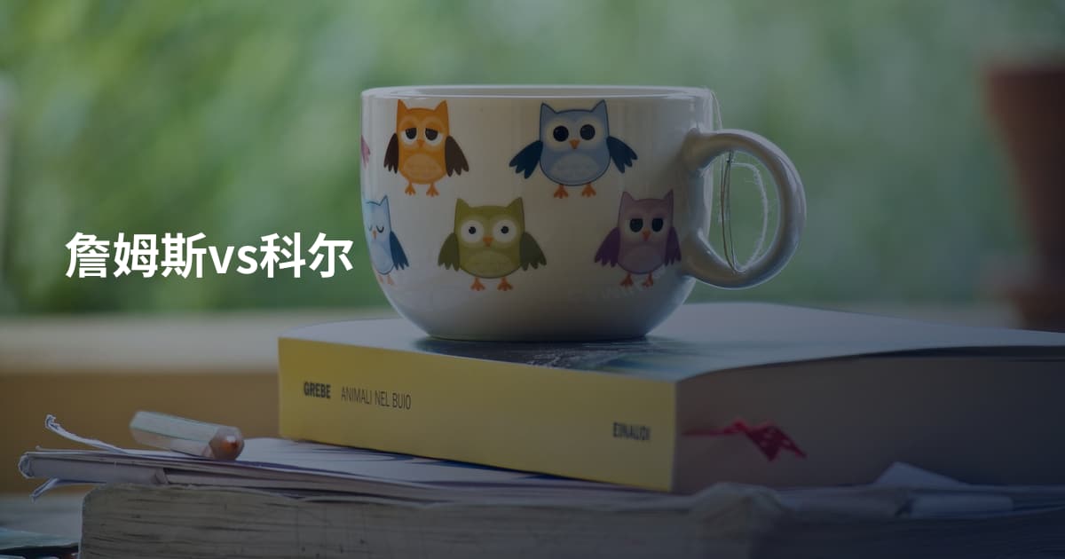 詹姆斯vs科尔
