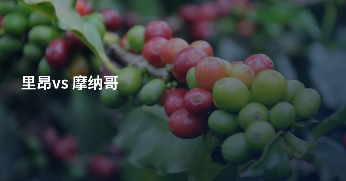 里昂vs 摩纳哥